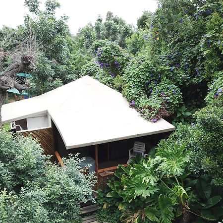 Mali Boutique Lodge & Tube 'N Axe Budget Accommodation Stormsrivier Zimmer foto