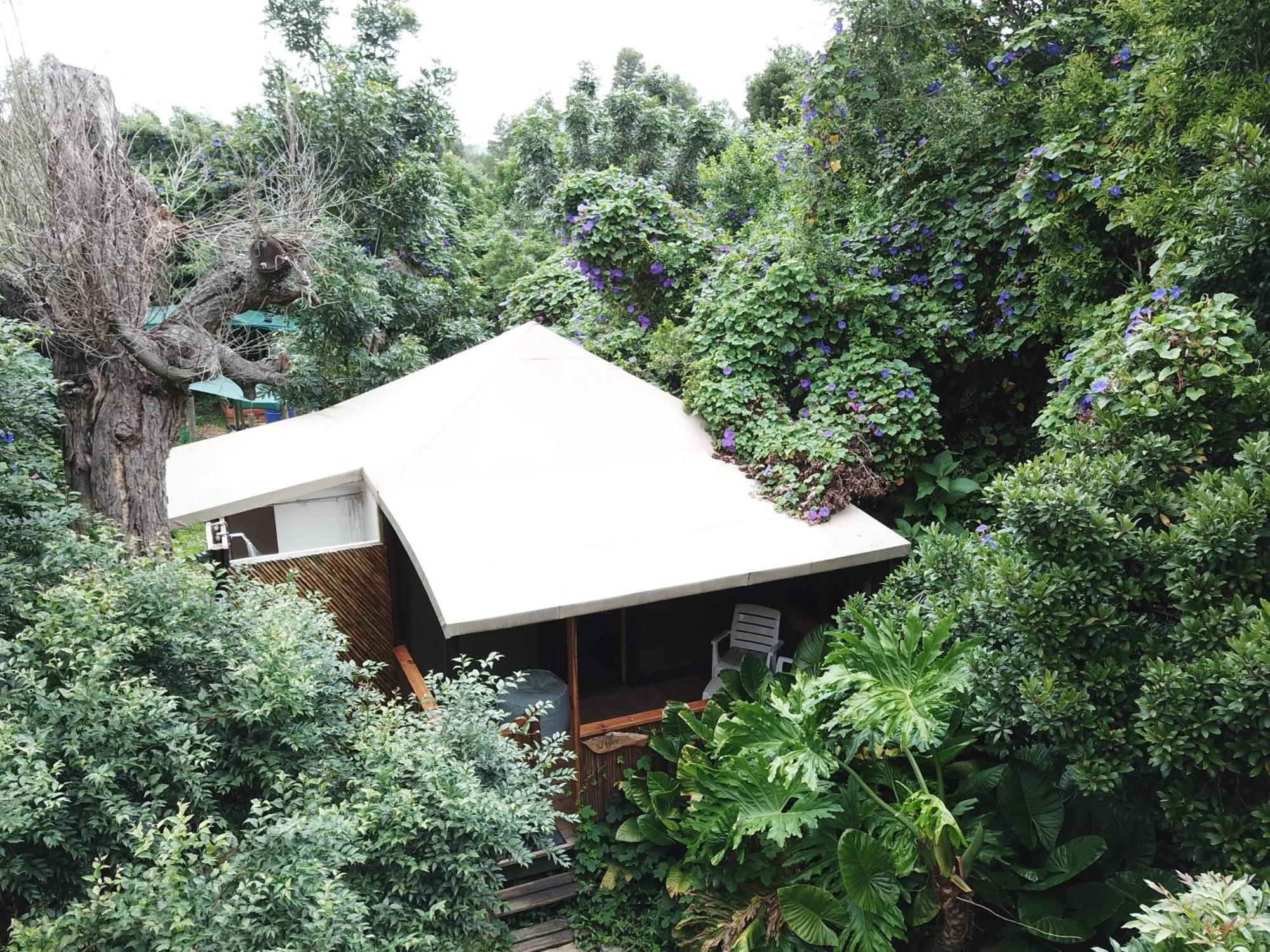 Mali Boutique Lodge & Tube 'N Axe Budget Accommodation Stormsrivier Zimmer foto
